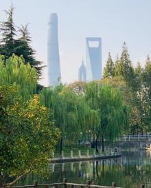 塘桥公园14
