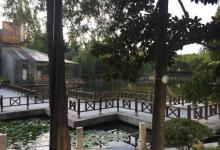 塘桥公园17