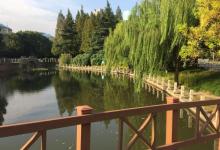 塘桥公园18