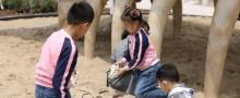 季高兔窝窝亲子园10