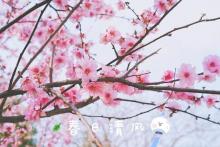 北京西路与常德路口公园4