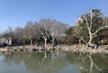 复兴公园1