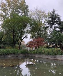 复兴公园29