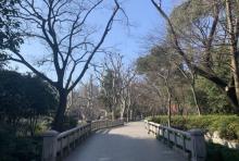 复兴公园5