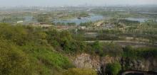 上海辰山植物园20