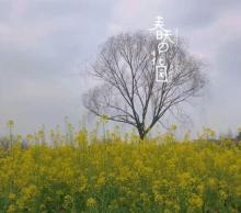 丽园公园10