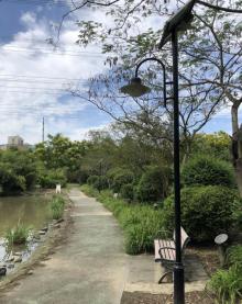 周浦公园15