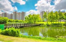 新江湾城公园11