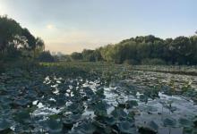新江湾城公园13