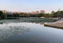 新江湾城公园15