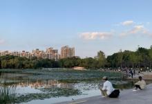 新江湾城公园16