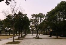 新江湾城公园20