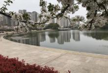 新江湾城公园26