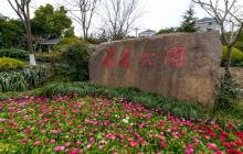 岭南公园7