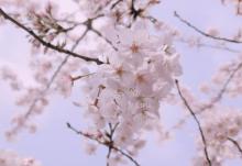 虹口足球场27