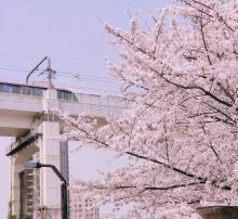 虹口足球场25