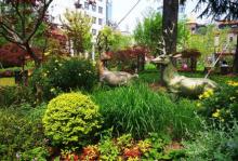 昆山公园12