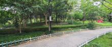 金沙公园2