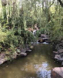 金沙公园6