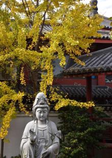 云翔寺11