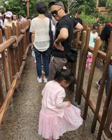 七个小矮人矿山车26