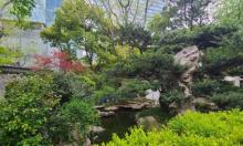 静安涌泉2