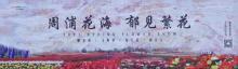 周浦花海15