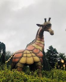爱丽丝梦游仙境迷宫22