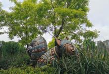 爱丽丝梦游仙境迷宫25