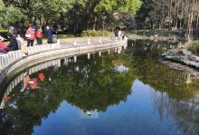 徐家汇公园29