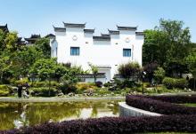 中新泾公园2