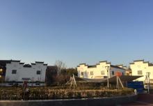 中新泾公园14