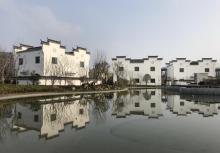 中新泾公园17