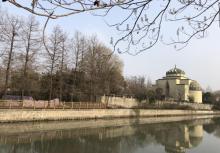 中新泾公园18