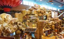 卡通尼・Safari非洲探索乐园(上海金桥店)8