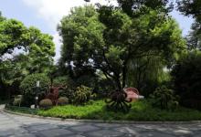 宜川公园17