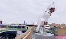 Sky Park 高登公园10