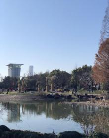 南园滨江绿地17