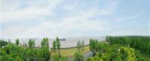 上海滨江森林公园26