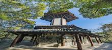 天马山公园5