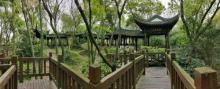 天马山公园17