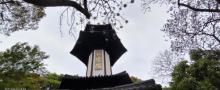 天马山公园18