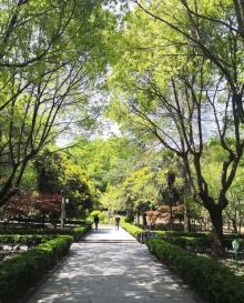 天马山公园21