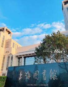上海图书馆6