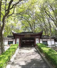 天马山公园24