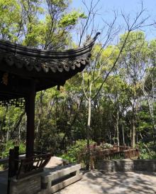 天马山公园26