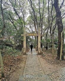 天马山公园29