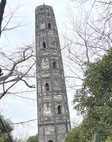天马山公园31