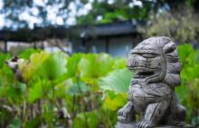 醉白池2