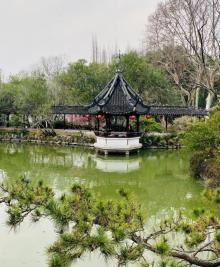 醉白池9
